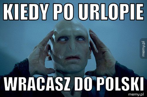 Kiedy po urlopie Wracasz do polski