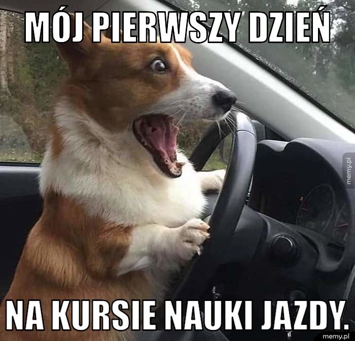 Mój pierwszy dzień na kursie nauki jazdy.