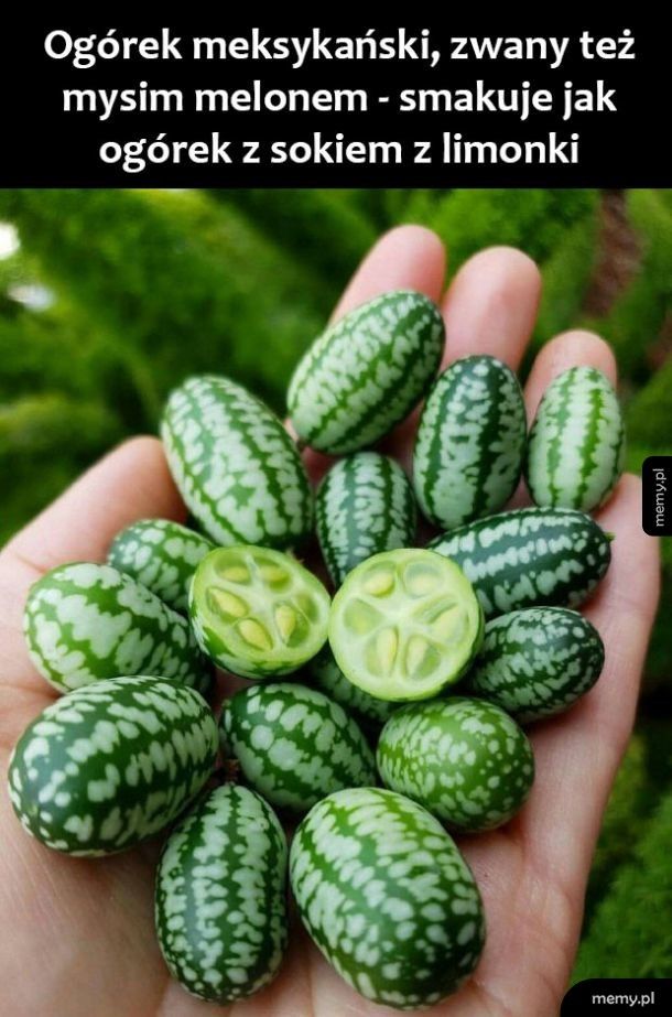 Mini melon