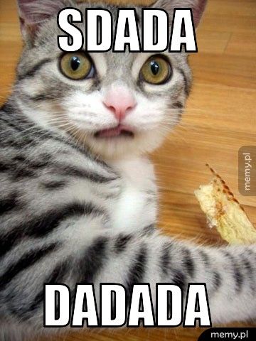 sdada dadada