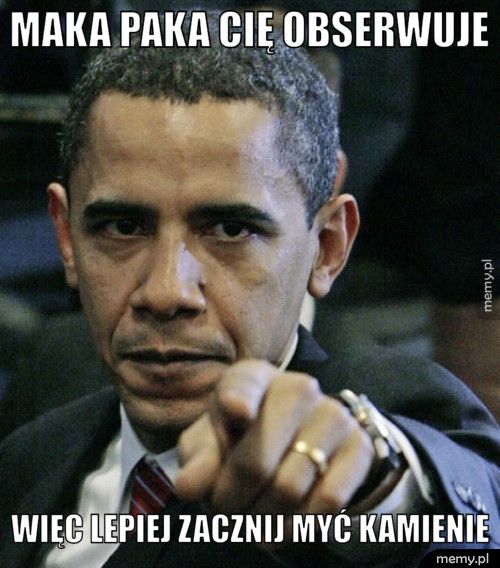 Maka paka cię obserwuje więc lepiej zacznij myć kamienie