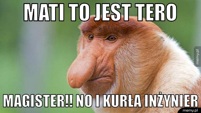 Mati to jest tero magister!! no i kurła inżynier