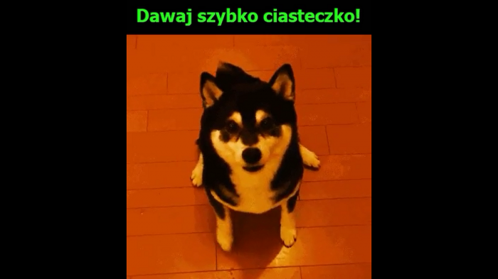 Pieseł