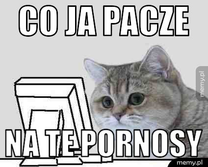Co ja pacze na te pornosy