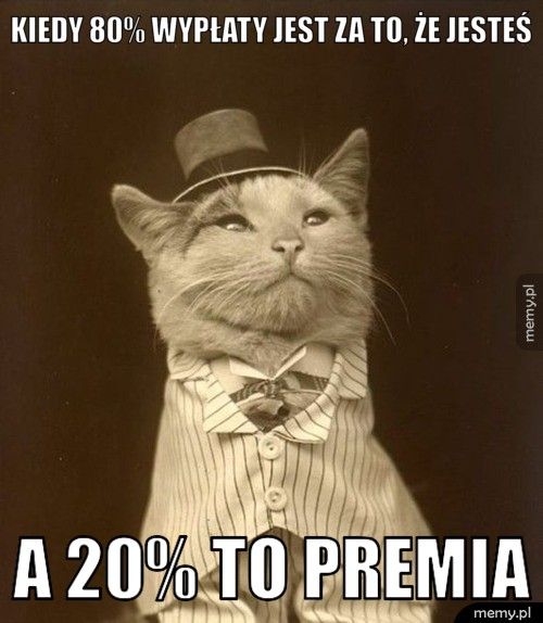 Kiedy 80% wypłaty jest za to, że jesteś A 20% to premia