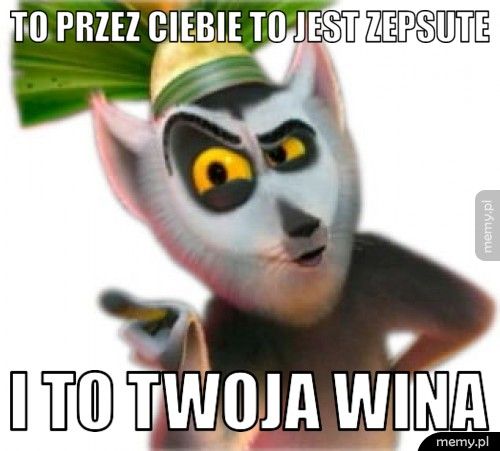 To przez Ciebie to jest zepsute I to twoja wina