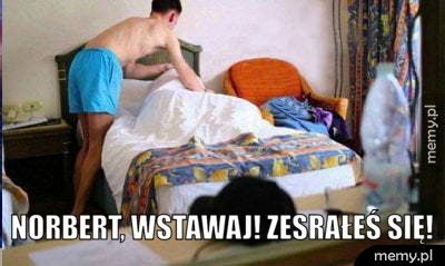  Norbert, wstawaj! Zesrałeś się!
