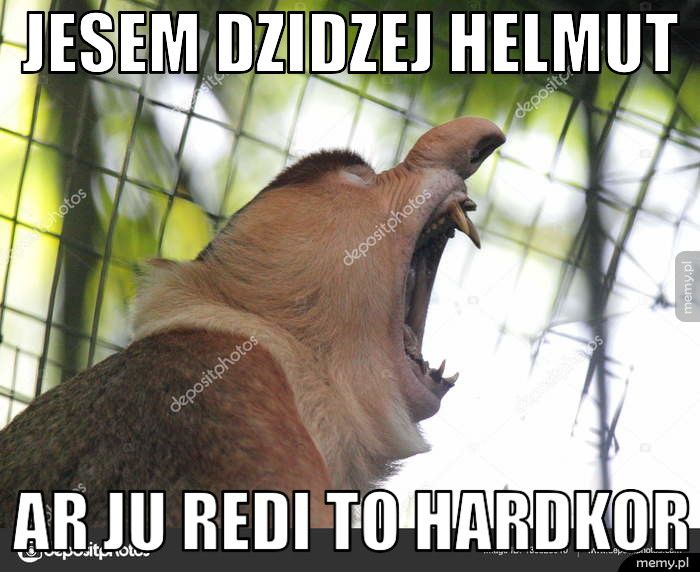 Jesem dzidzej helmut Ar ju redi to hardkor