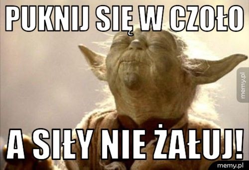 Puknij się w czoło a siły nie żałuj!