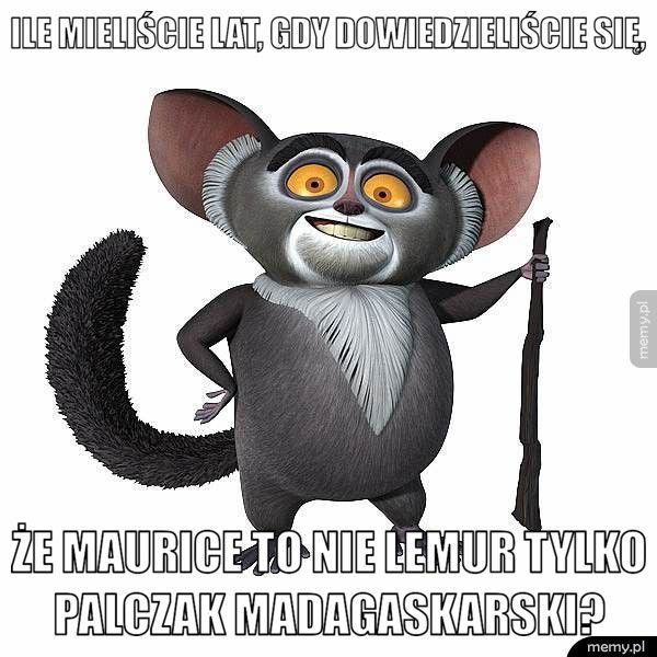 Ile mieliście lat, gdy dowiedzieliście się,  Że Maurice to nie lemur tylko palczak madagaskarski? 
