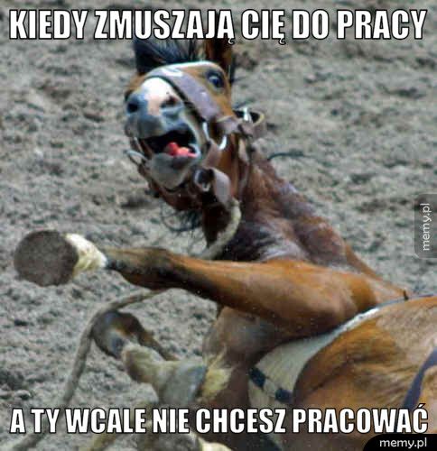 Kiedy zmuszają cię do pracy a ty wcale nie chcesz pracować