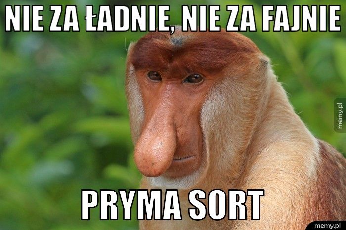Nie za ładnie, nie za fajnie  Pryma Sort 