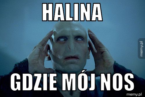 halina gdzie mój nos