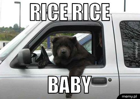 Rice Rice Baby
