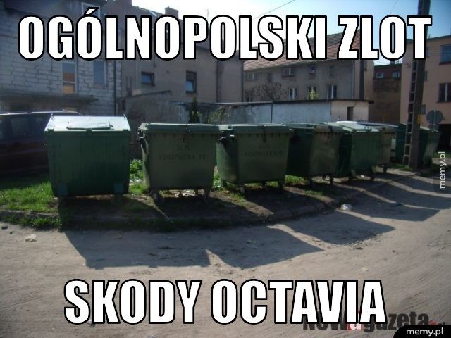 Ogólnopolski zlot Skody Octavia