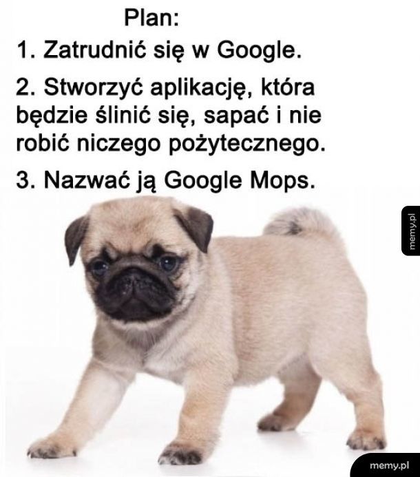 Google Mops
