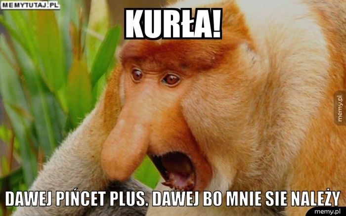  Dawej pińcet plus. Dawej bo mnie sie należy