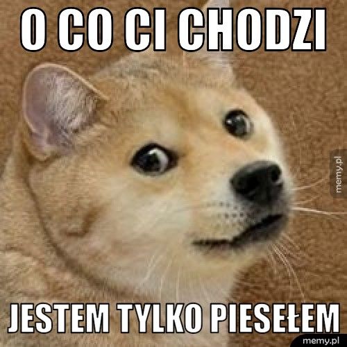 O co ci chodzi Jestem tylko piesełem