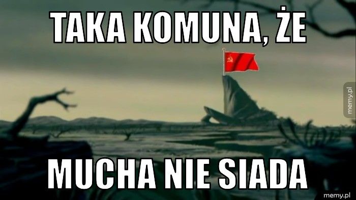 Taka komuna, że Mucha nie siada