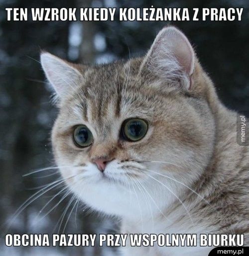 Ten wzrok kiedy koleżanka z pracy  Obcina pazury przy wspolnym biurku