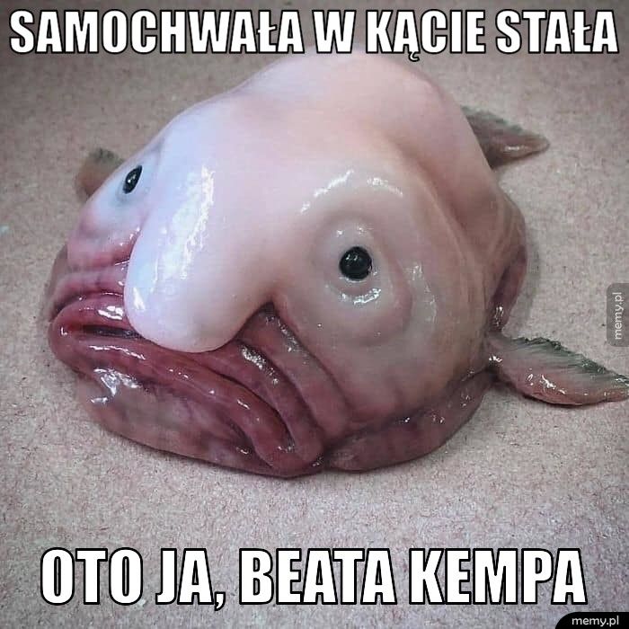 Samochwała w kącie stała  Oto ja, Beata kempa