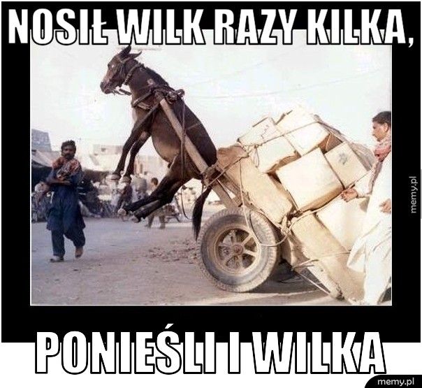 Nosił wilk razy kilka, ponieśli i wilka