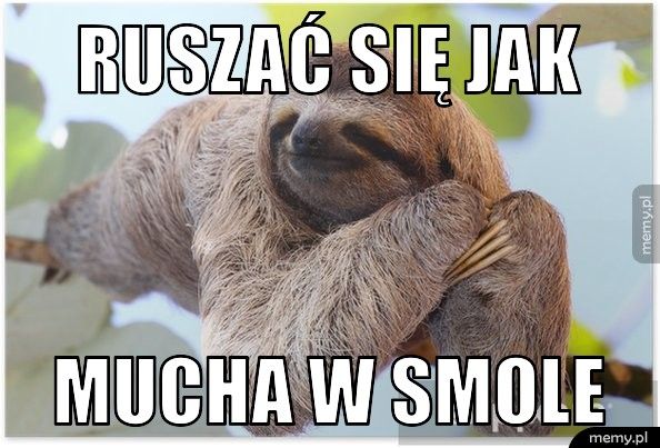 Ruszać się jak mucha w smole