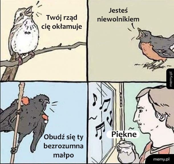 Śpiew ptaków