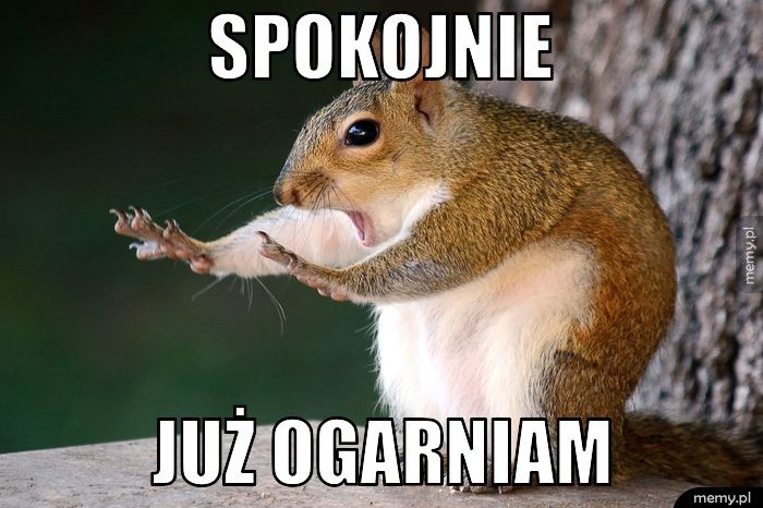 SPOKOJNIE JUŻ OGARNIAM