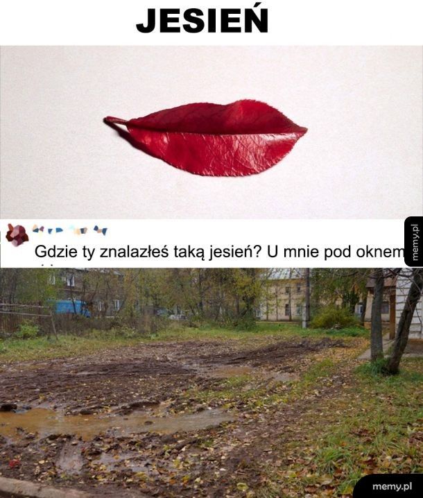 Jesień