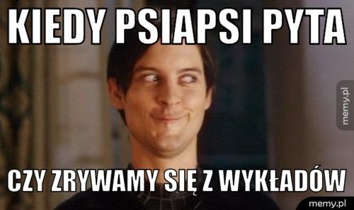 Kiedy psiapsi pyta czy zrywamy się z wykładów