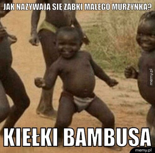 Jak nazywają się ząbki małego murzynka?  Kiełki bambusa 