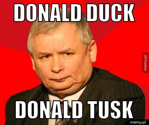 donald duck donald tusk