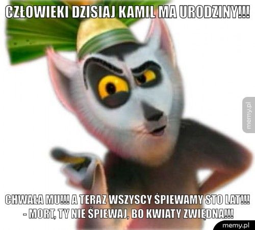 Człowieki dzisiaj Kamil ma urodziny!!! Chwała mu!!! A teraz wszyscy śpiewamy sto lat!!! - Mort, Ty nie