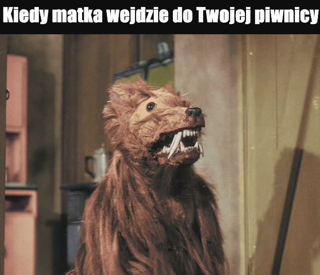 Co tam piwniczaki? :D