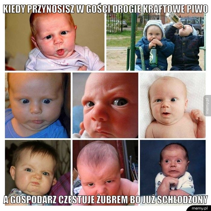 KIEDY PRZYNOSISZ W GOŚCI DROGIE KRAFTOWE PIWO A GOSPODARZ CZĘSTUJE ŻUBREM BO JUŻ SCHŁODZONY