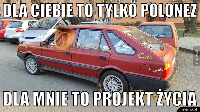 DLA CIEBIE TO TYLKO POLONEZ  DLA MNIE TO PROJEKT ŻYCIA 