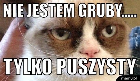 Nie jestem gruby..... Tylko puszysty