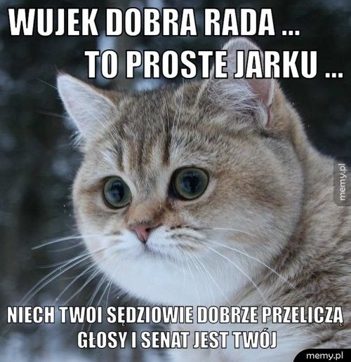 Wujek dobra rada ...                    to proste Jarku ... Niech twoi sędziowie dobrze przeliczą głosy i senat jest twój