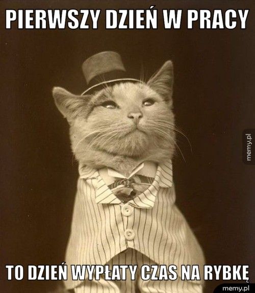 pierwszy dzień w pracy to dzień wypłaty czas na rybkę