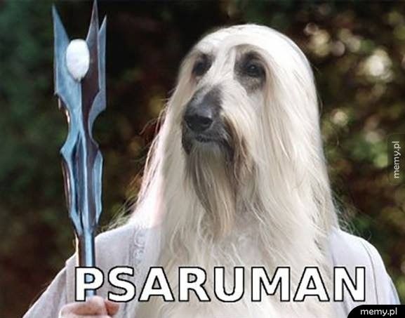 Psaruman