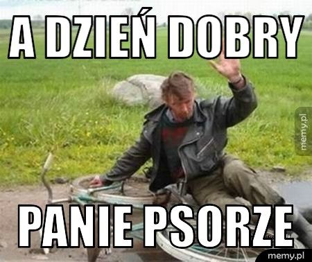 A dzień dobry Panie Psorze