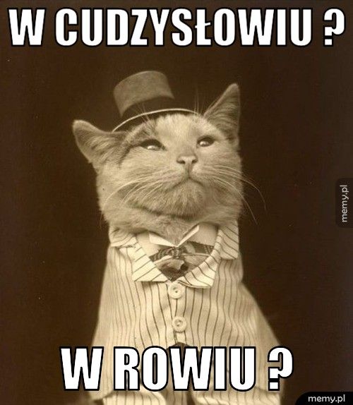 w cudzysłowiu ? W rowiu ?
