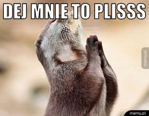 Dej mnie to plisss