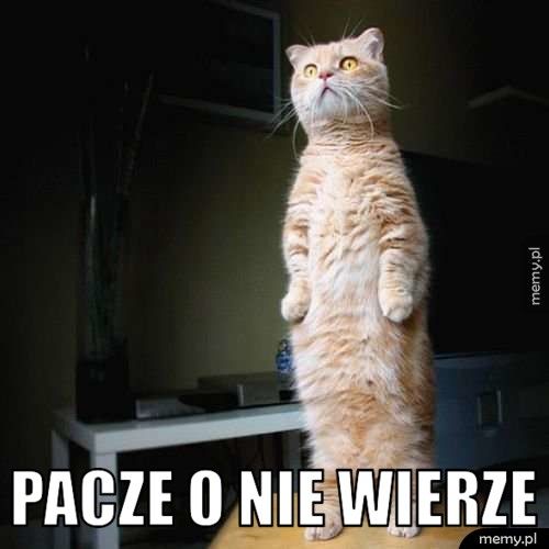 Pacze o nie wierze