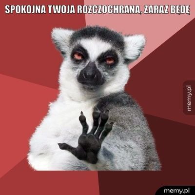 Spokojna twoja rozczochrana, zaraz będę