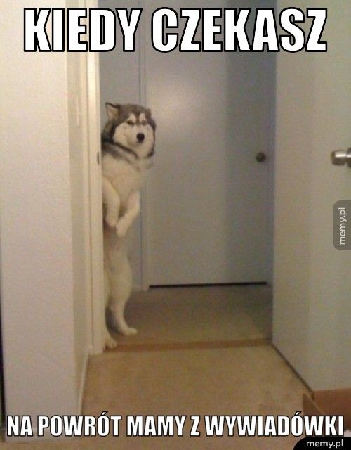 Kiedy czekasz Na powrót mamy z wywiadówki