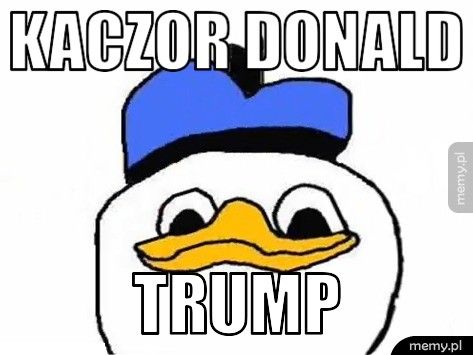 kaczor donald trump