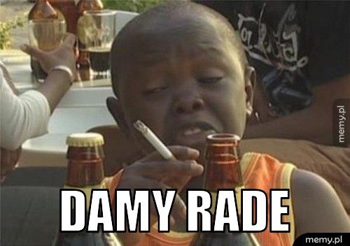Damy rade