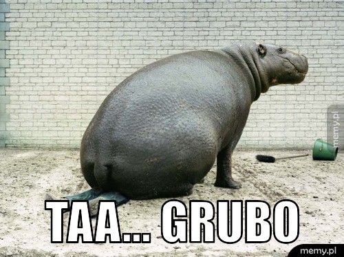  Taa... grubo